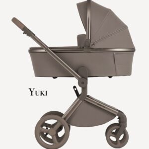 Anex Passeggino Flo - 2 in 1