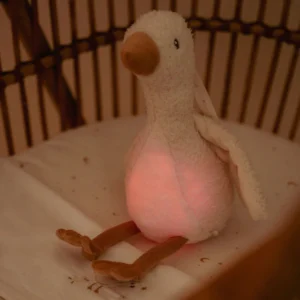 Littile dutch - Luce notturna con suoni Baby Goose