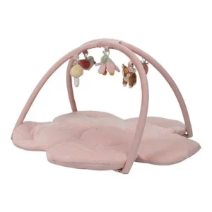 Little Dutch- Palestrina morbida - Fairy Garden